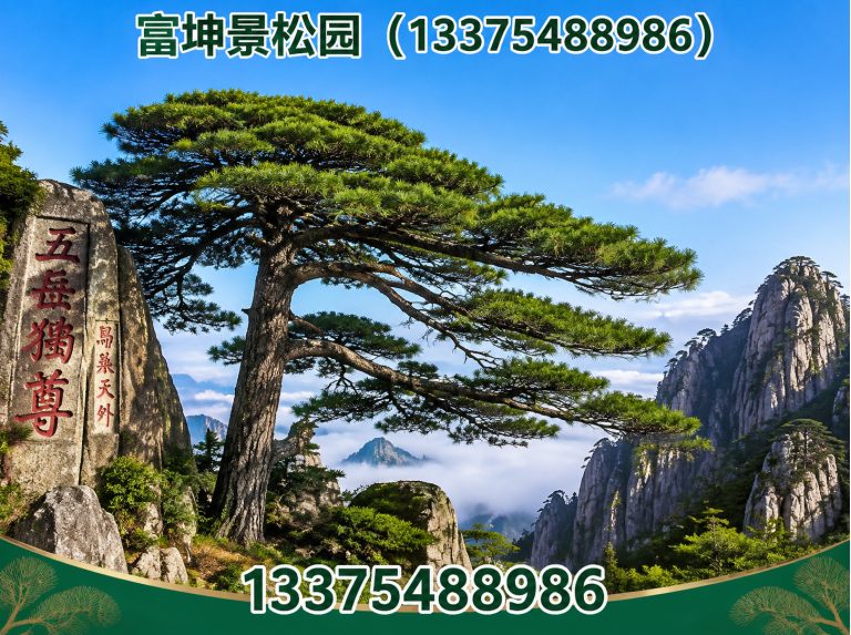 新泰市绿化苗木展示图